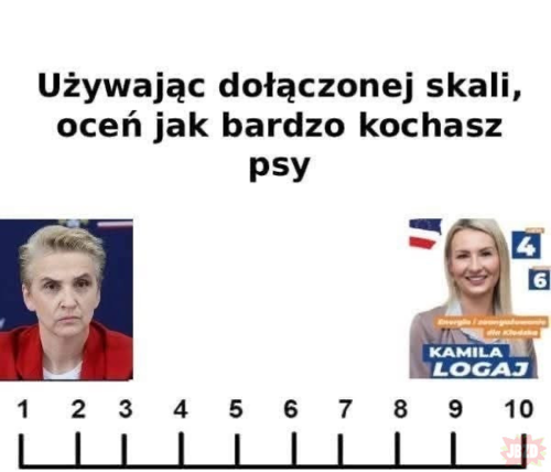 #heheszkipolityczne - wonsz - Hejto.pl