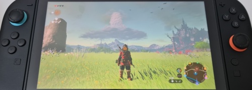 The Legend of Zelda: Tears Of The Kingdom Na Switchu 2 stałe 60 fpsów robi robotę :blush: #gry #nintendo - koszotorobur - Hejto.pl