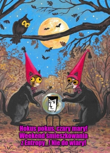 Coś więcej bym napisał, ale po co :wink: #perypetiedziwena #hejtomeme @Dziwen @entropy_ @bojowonastawionaowca @bori - Yes_Man - Hejto.pl