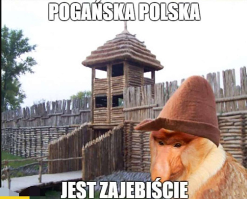 Ten, kto nie jest szczęśliwy z odrobiną szczęścia, nie będzie szczęśliwy z jego mnóstwem. (Laozi) Nawet jeśli - Statyczny_Stefek - Hejto.pl