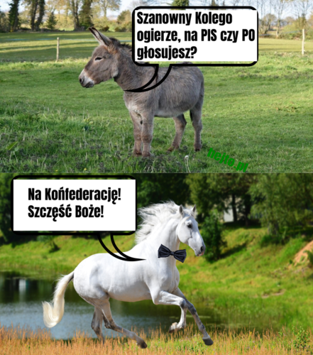 #heheszki - FourF - Hejto.pl