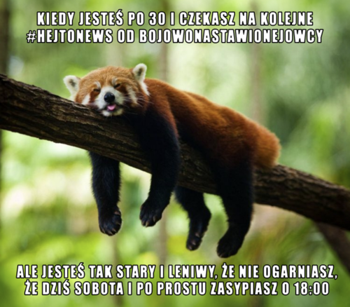 #hejtobry, cześć hej(t)o. Dzisiaj mamy 8 listopada. Słoneczko wschodzi o 06:43 (2 minuty później), a zachodzi o - Atexor - Hejto.pl