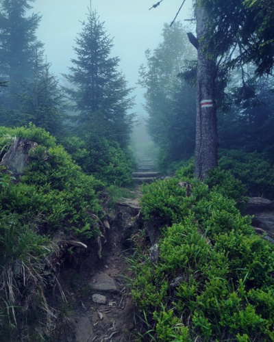 Siema, Zapraszam na najdłuższy spacer w #piechurwedruje :hiking_boot: --------- Szczyty: Lubań, Turbacz (Gorce) Data: - Piechur - Hejto.pl
