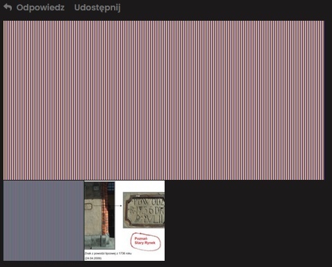 Dodałem - Marchew - Hejto.pl