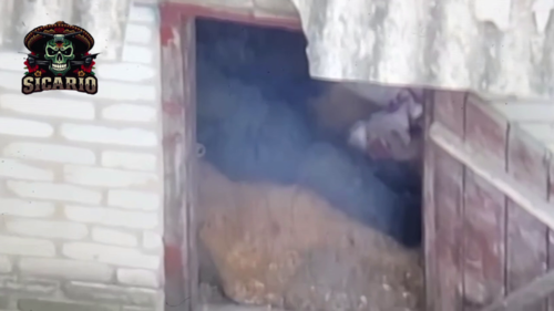 Dzień, który szumowiny zapamiętają na zawsze [18+] Filmik opublikowany przez jednostkę rozpoznania powietrznego - Mikuuuus - Hejto.pl