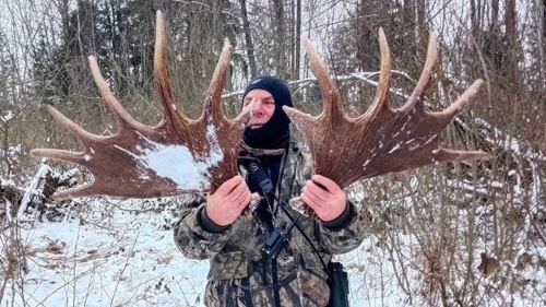 Dwie łopaty weny Siedzę tak i kminie, otulony kocem Sonet za sonetem pisze pewien zwierz Jednak czy to ślimak, może - splash545 - Hejto.pl