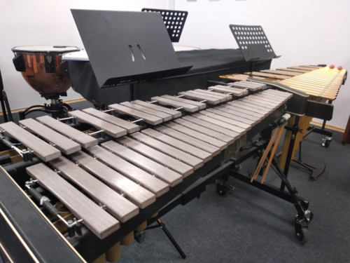 #instrumenty #muzyka stary i młody wrócili do normalnego trybu cotygodniowej dyscypliny. nie ma zmiłuj - skorpion - Hejto.pl