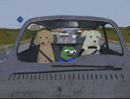 Miłego dnia frens #apustaja - Seele - Hejto.pl