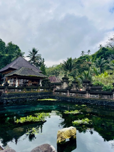 Kilka ciekawostek o Bali, które właśnie intensywnie eksploruje, może was zaciekawią :wink: Balijczycy kochają - A_I - Hejto.pl