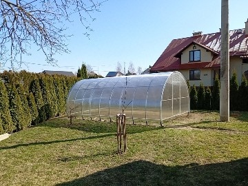 #ogrodnictwo #ciekawostki #zrobtosam #alawar Nawiązując do tematu: - Alawar - Hejto.pl