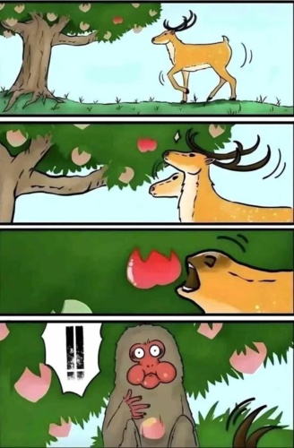 Trzeba zamazać sromotę po moim dzisiejszym popisie. Więc stary dobry memik #memy #heheszki #zwierzaczki - Kaligula_Minus - Hejto.pl