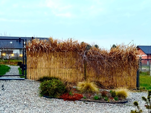 Co roku był problem co zrobić z taką ilością ściętych traw więc opracowałem technologię budowy ogrodzeń - radidadi - Hejto.pl