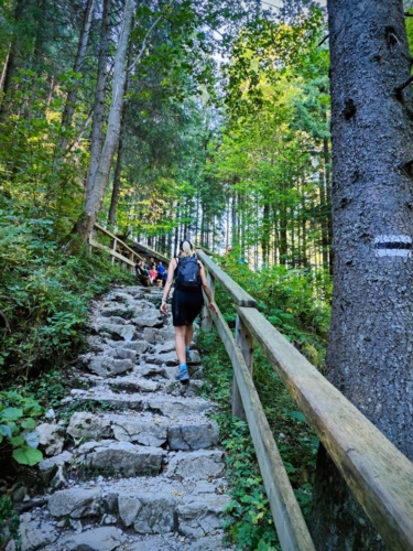 Siema, Kontynuacja nieudanego wypadu na Baníkov w #piechurwedruje :hiking_boot: Tl;dr: oby było więcej takich - Piechur - Hejto.pl