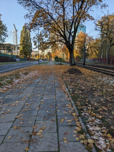 Z tym #jesiennewyzwania to trzeba na spokojnie. Kto to widział żeby tak za pierwszym razem :stuck_out_tongue: Wczoraj - PaczamTylko - Hejto.pl