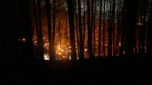Wrzucam dzisiaj, bo mam ładne (moim zdaniem) zdjęcia z sobotniego wybiegania. Ogólnie to warto na trasie nie tylko - Loginus07 - Hejto.pl