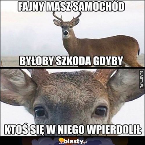 Kto wczoraj niespodziewanie wskoczył na mój pas ruchu? Kto stał cały czas w jednym miejscu kiedy ja hamowałem? Kto - jarezz - Hejto.pl