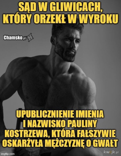 Kobieta fałszywie oskarżyła znajomego o gwałt Śledztwo jednak szybko ujawniło, że relacja kobiety jest - redve - Hejto.pl