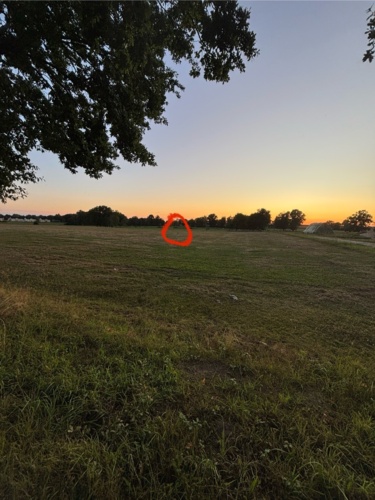 Dobra dziadki, tak jak myślałem, nikt nie odgadł zagadki https://www.hejto.pl/uzytkownik/Gepard_z_Libii, co jasno - Gepard_z_Libii - Hejto.pl