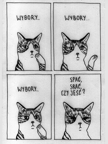 #heheszki #koty - festiwal_otwartego_parasola - Hejto.pl