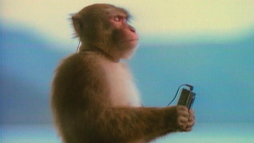 kiedy wracasz po ciężkim dniu z #kolchoz do domu i na swoich ulubionych słuchawkach odpalasz swoją ulubiona - Half_NEET_Half_Amazing - Hejto.pl