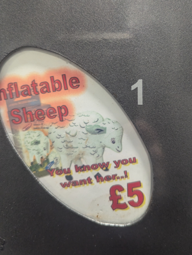 owcaspam #heheszki #humorobrazkowy - owczareknietrzymryjski - Hejto.pl