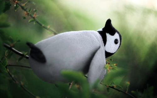 Windows znowu przejmuje pałeczkę, a udziały Linuksa spadają. Zainteresowanie światem Open Source zdaje się maleć - deafone - Hejto.pl