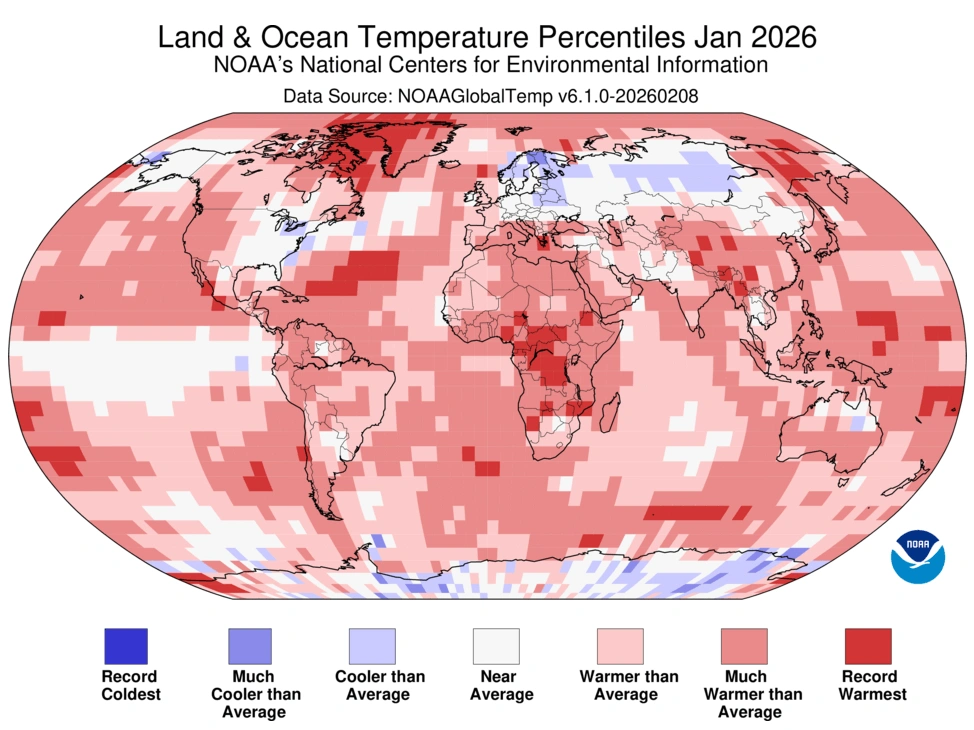 6b77a470-2b8c-45a5-889f-1fb74461dd72