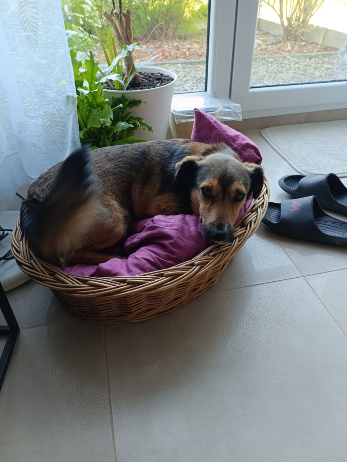 1b4cf47f-5638-4d8d-b613-8574249e55a9