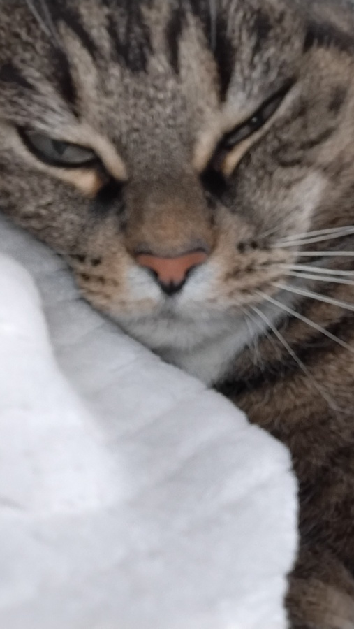 b45392c1-3501-4a6c-9706-5da119cd6625