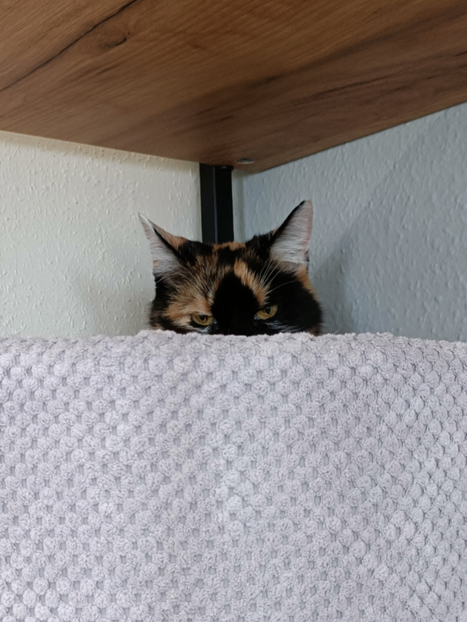 bb34c9d6-fe90-4c3a-8363-5b9726af1b23