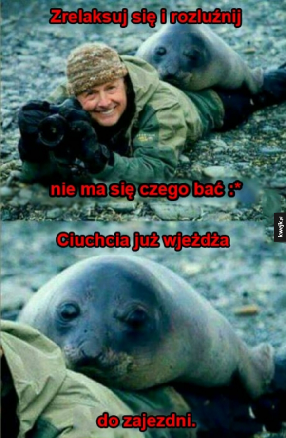 6f3626ac-a37d-473e-bcb2-7aca35f991d3