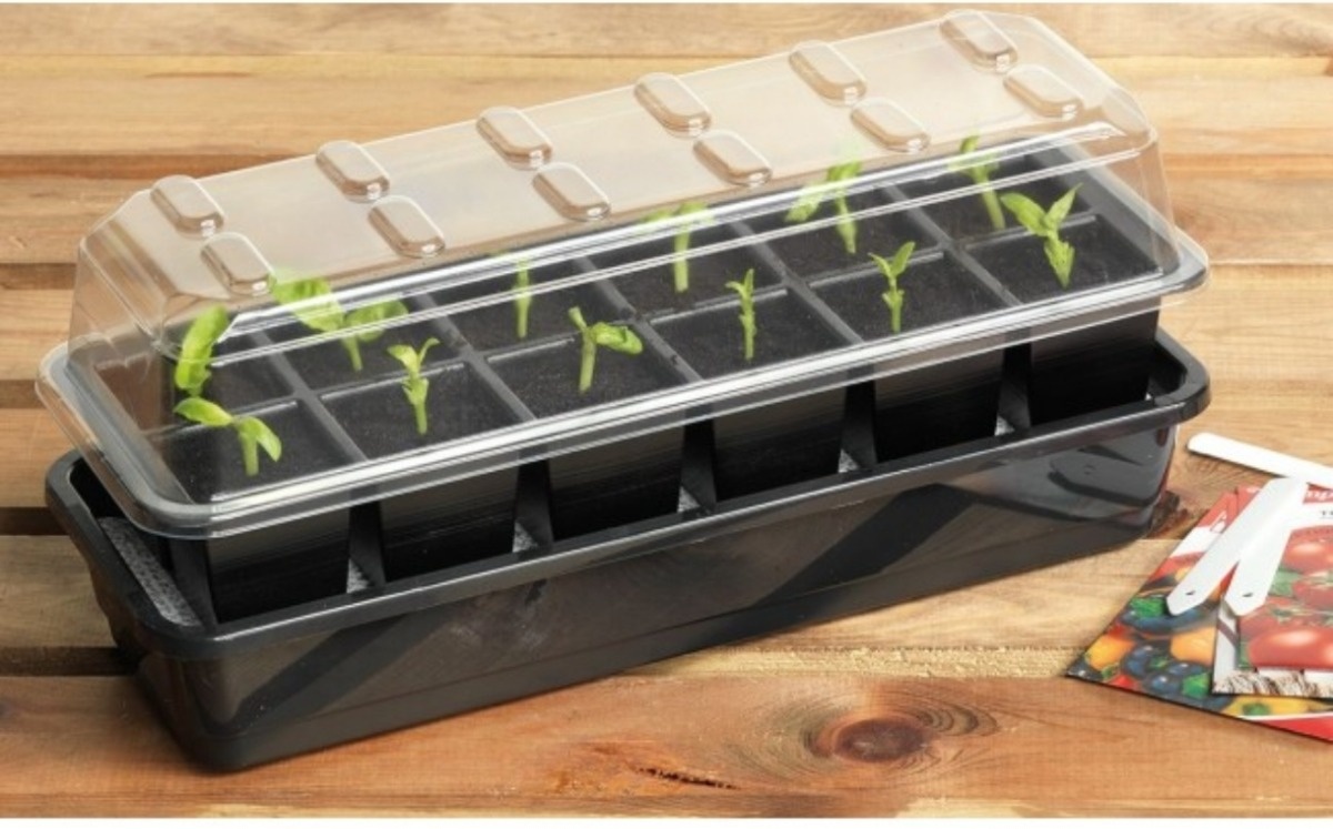 0f0c9a6a-493b-417e-b619-06284d523884