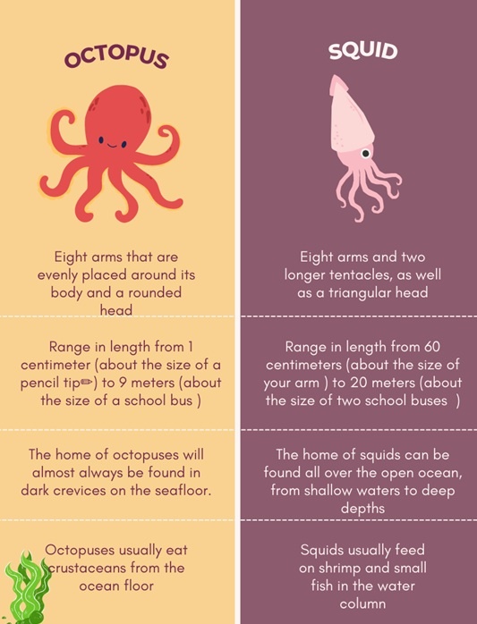 e0755ed3-b8e5-4e78-8234-c4a2fcfaf76c