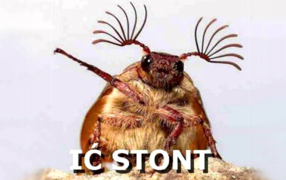 af8118c1-448c-4db4-9e71-a6b1df8b1d79