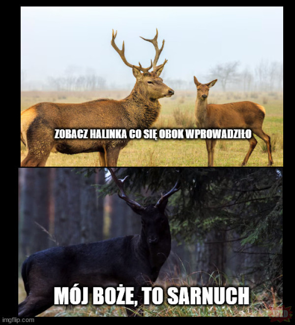 13a5ab8c-6612-4877-b4bb-442a61ed9054