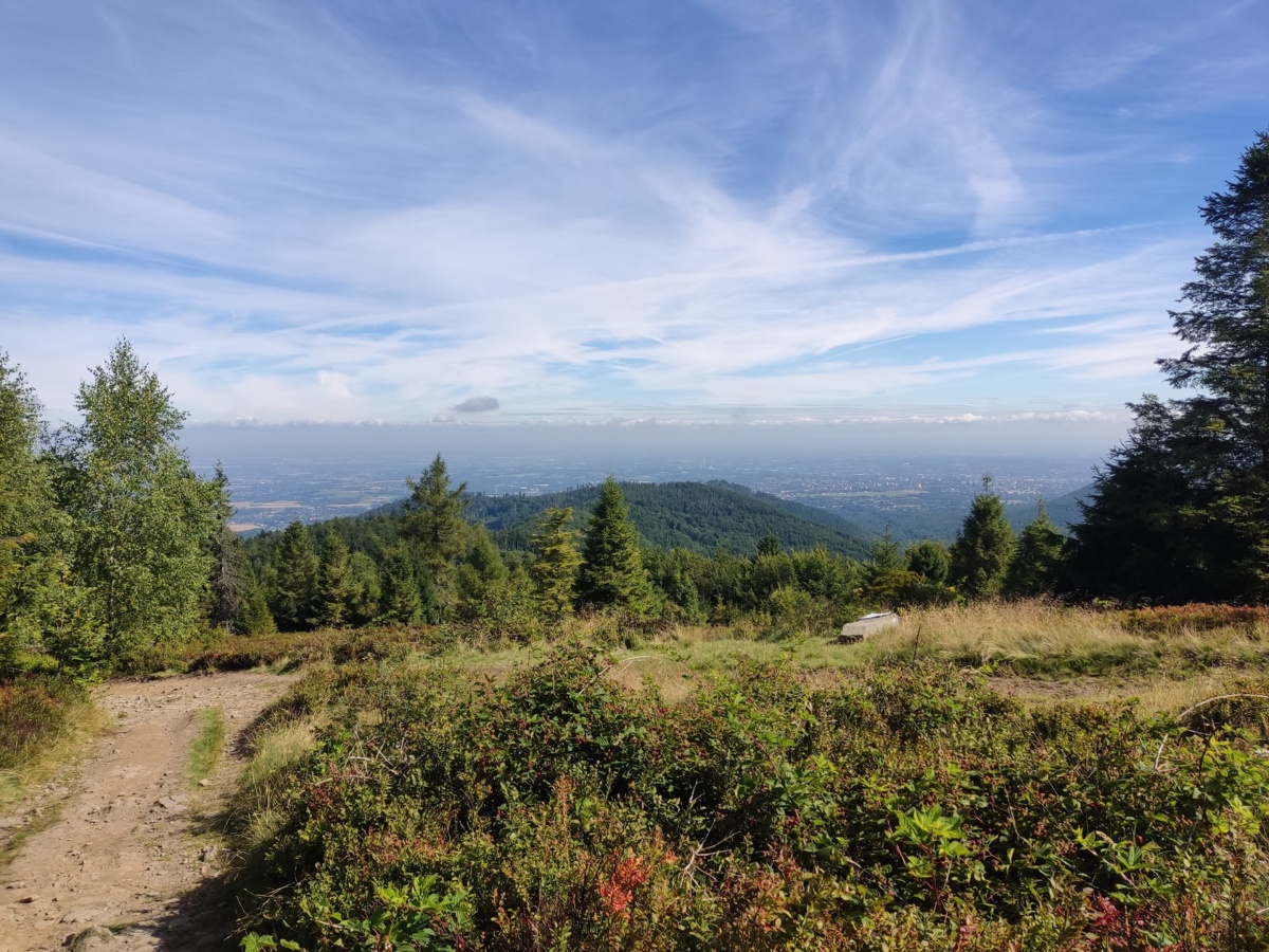 22a363f0-76be-48ce-8acd-682263011e72