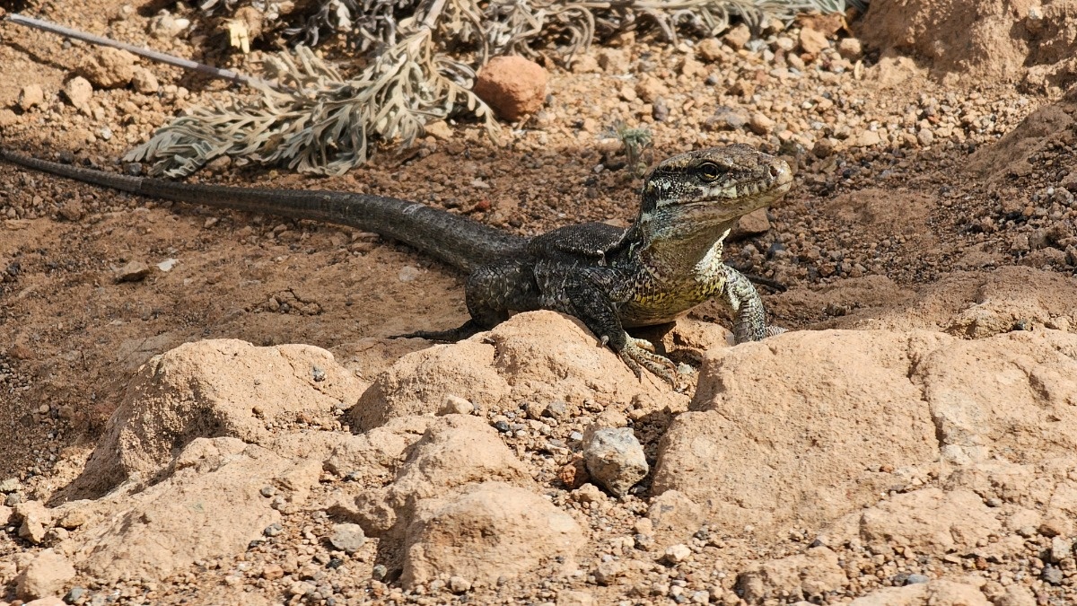 281c18d8-b221-4342-8e43-d14609f29dd6