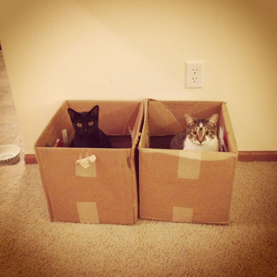 e46b5c16-7652-4ee2-8e42-63e688a0d6a2