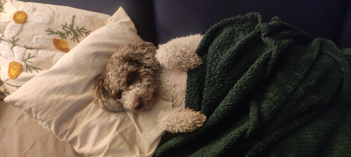 8753857f-9413-4ea2-b98d-4d55da631d76