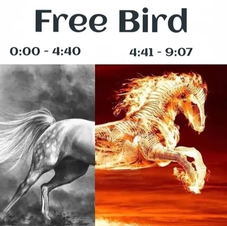 8e774ce3-b5b1-46d8-bc8b-74e5eedae8ce