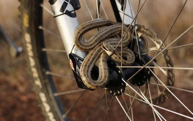 57b774d0-afbd-471e-a18b-2ff6fe5227df