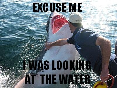 96472643-f862-4a8a-a36b-0bd00a31f94c