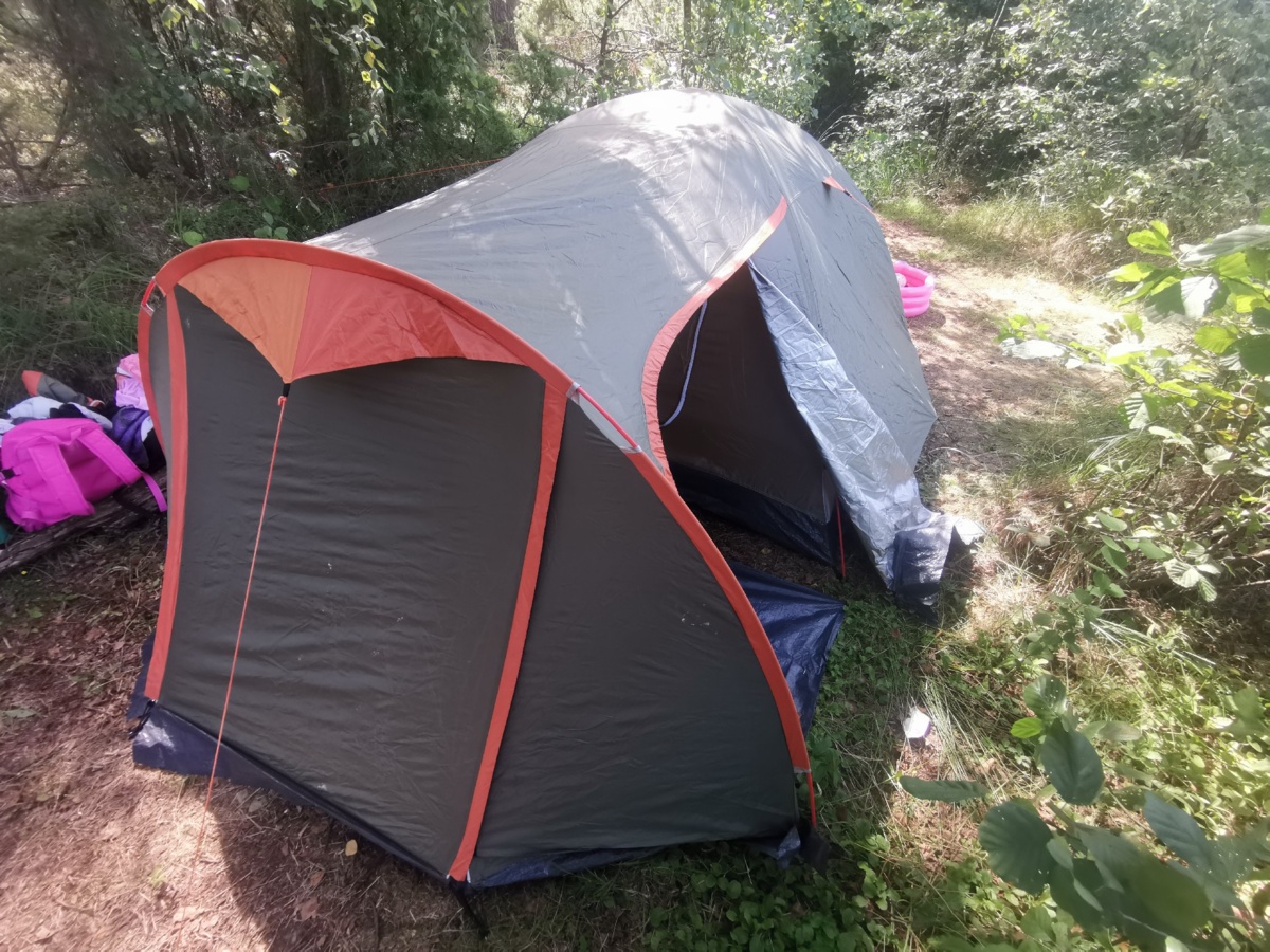 6e0ad6c9-7f85-4608-a733-9e8808f4f998