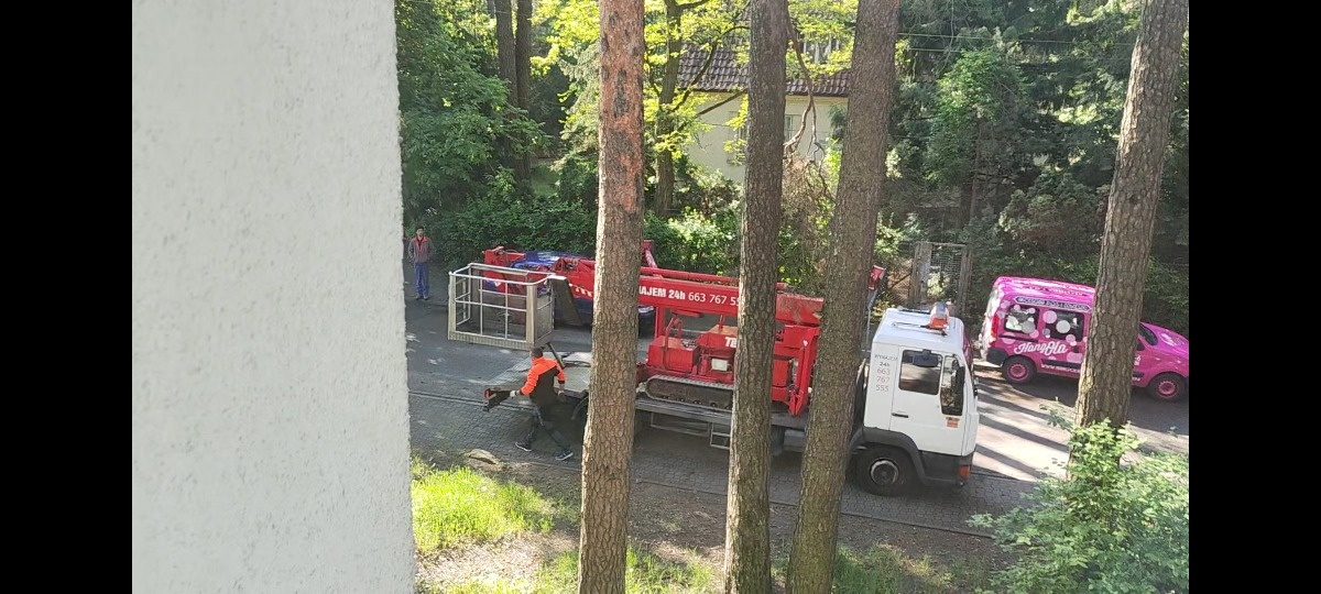 c70d8ee5-d843-4dc3-9d31-0f0e1cb37ace