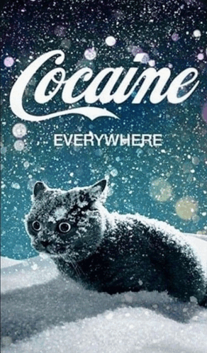 ccc0e112-dfbf-4d47-9b5c-94234acb3b88