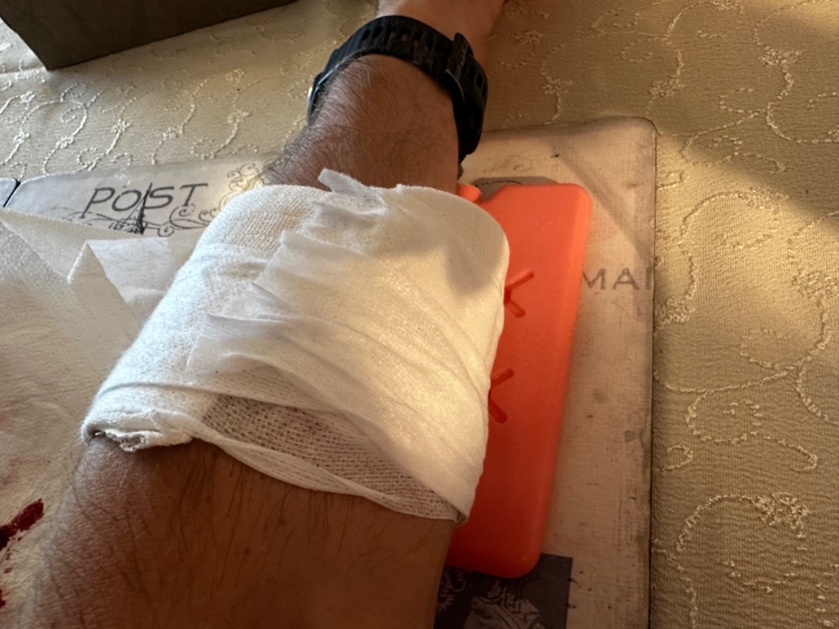 c76b49a1-a446-491d-941f-06d00fbbe281