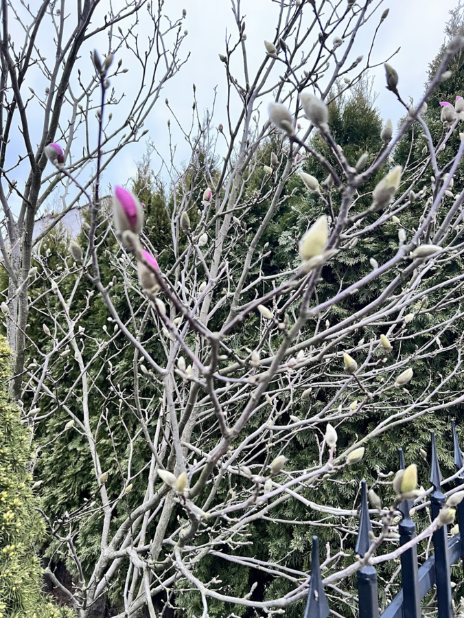 2ee7eb69-cf3b-44aa-baaa-7ab08212527d