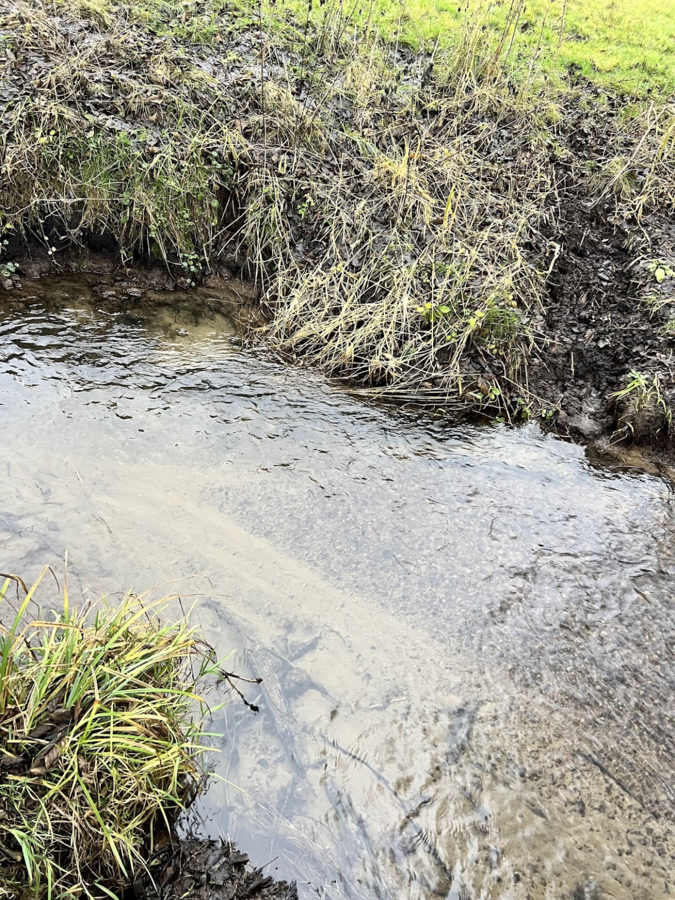 3d6dd453-6408-442a-8892-ecaf87a0b769