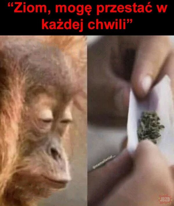 6f45caa7-1b40-42a2-909a-e608254ba734