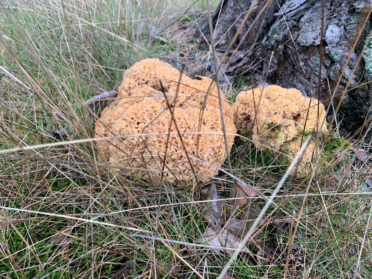 e8e42306-022f-4394-b890-e5647bfa4286